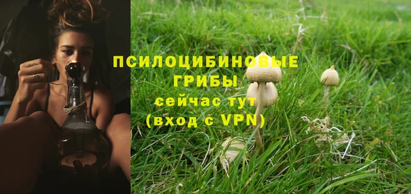 а пвп мука Лабытнанги