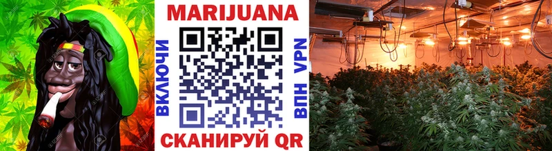 OMG зеркало  купить закладку  Сухиничи  Канабис SATIVA & INDICA 
